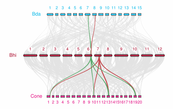 Syn-blocks