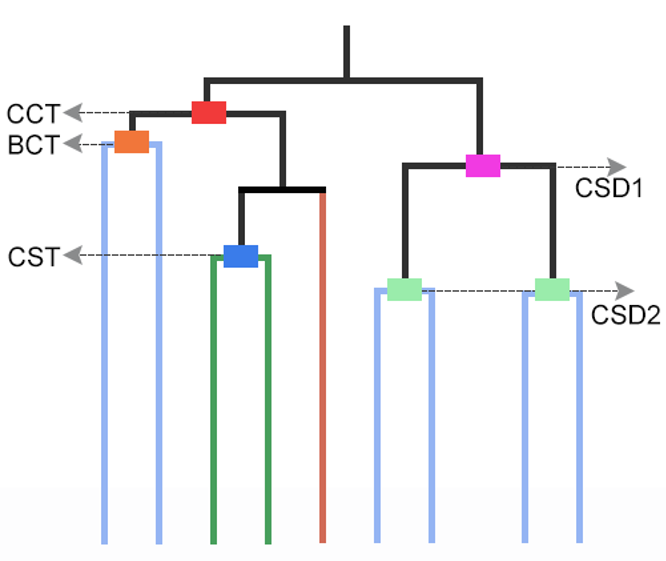 Orthogroup analysis platform