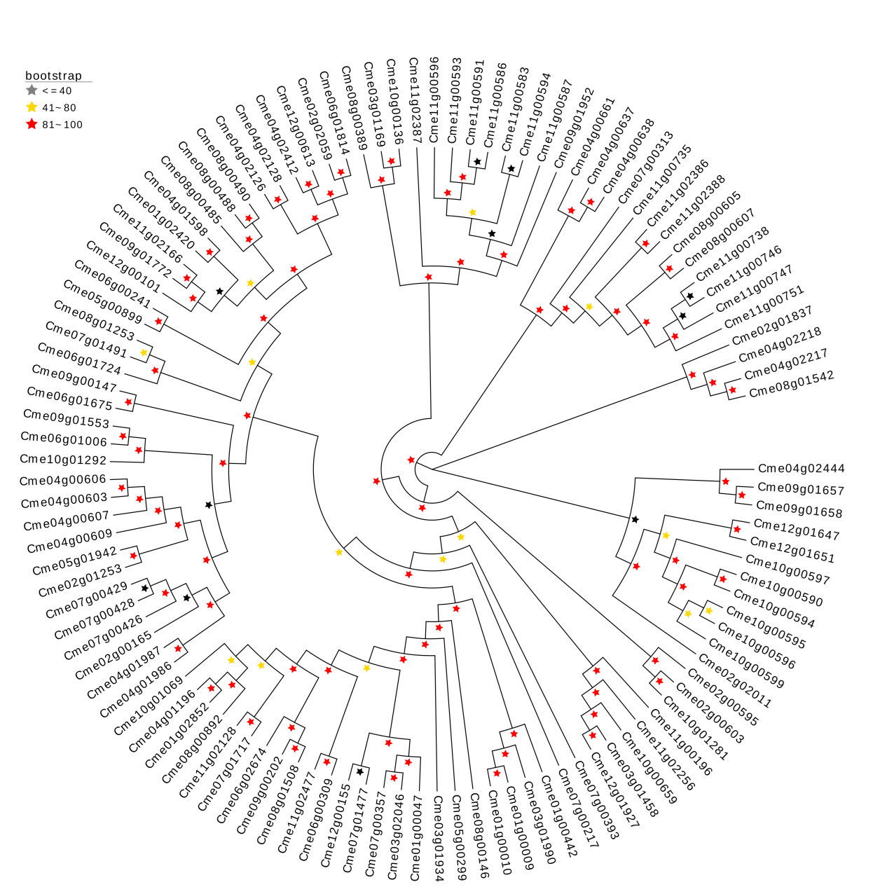 Orthogroup analysis platform