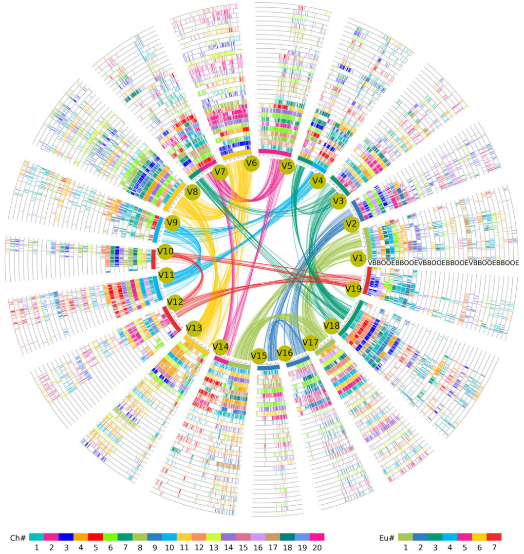 Orthogroup analysis platform